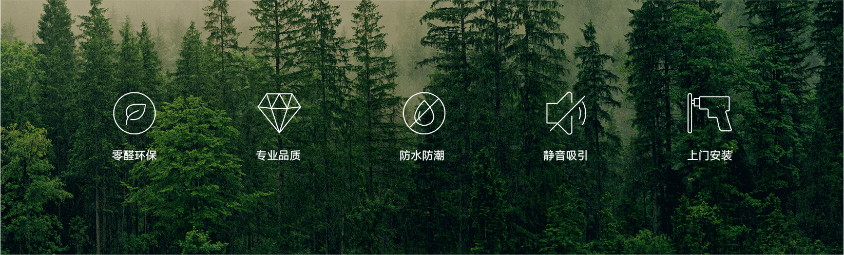 久久99精品久久久久久久不卡