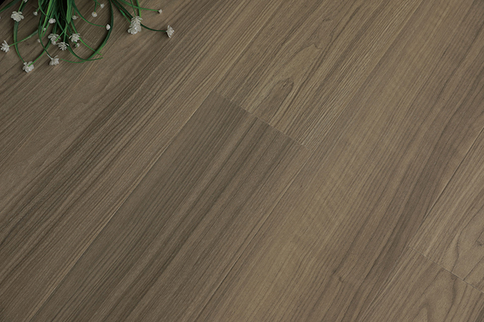 久久99精品久久久久久久不卡