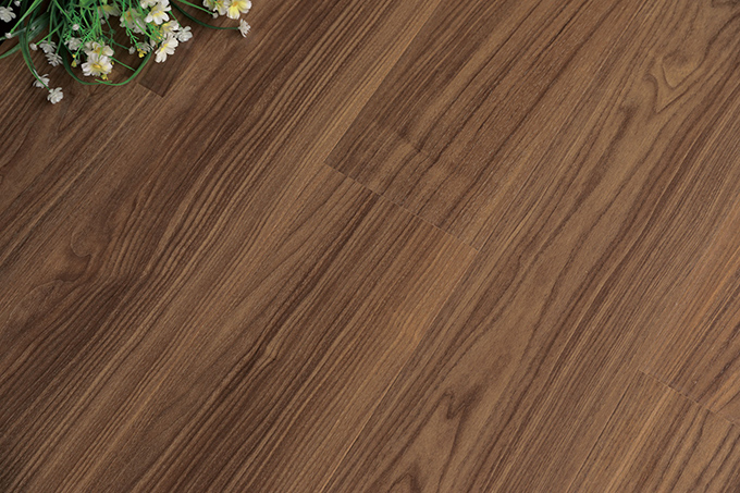 久久99精品久久久久久久不卡