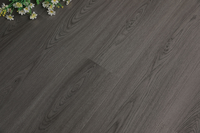 久久99精品久久久久久久不卡