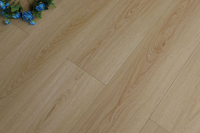 久久99精品久久久久久久不卡