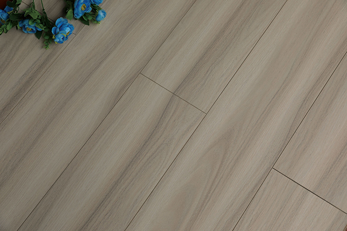 久久99精品久久久久久久不卡