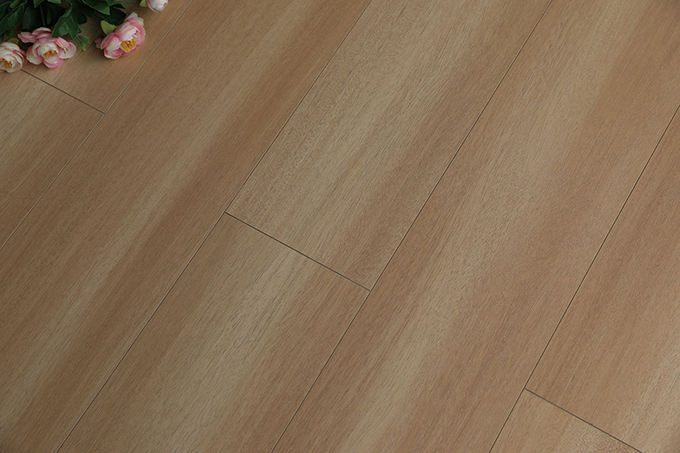 久久99精品久久久久久久不卡