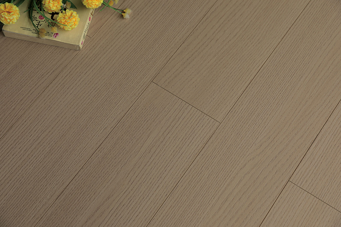 久久99精品久久久久久久不卡