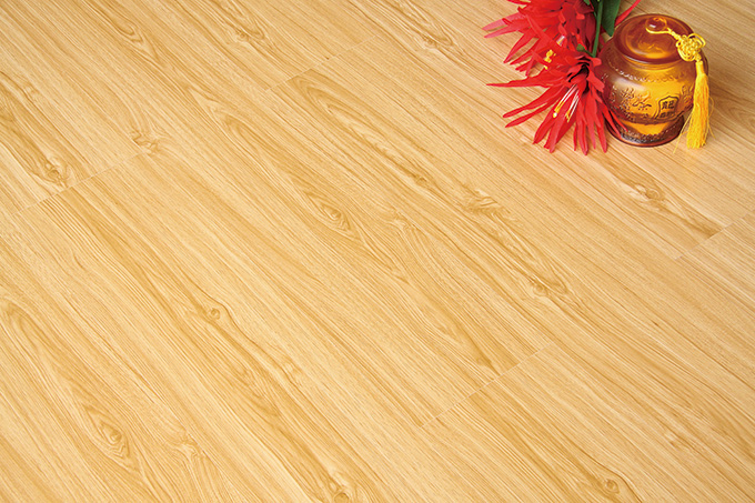 久久99精品久久久久久久不卡