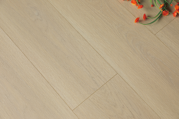 久久99精品久久久久久久不卡