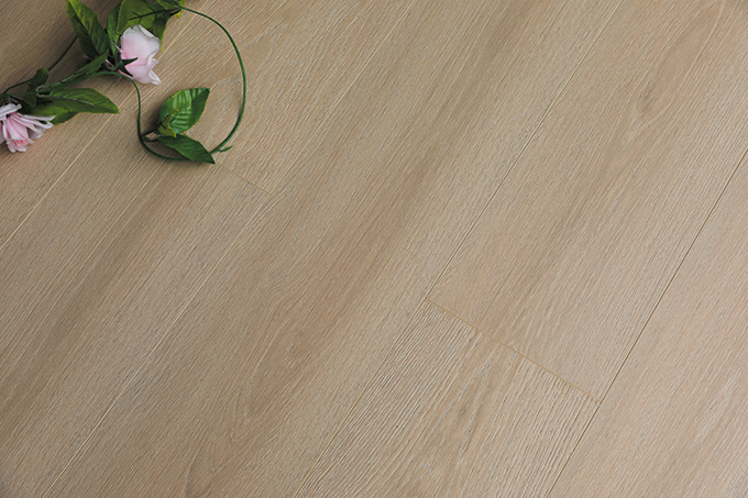 久久99精品久久久久久久不卡