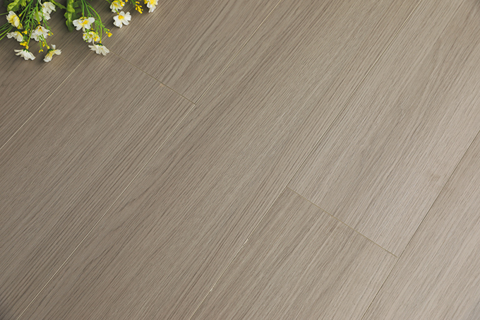 久久99精品久久久久久久不卡