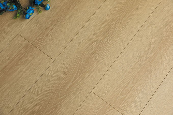 久久99精品久久久久久久不卡