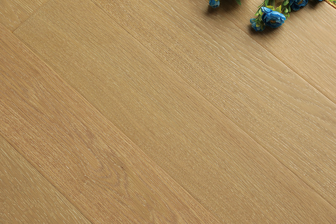 久久99精品久久久久久久不卡