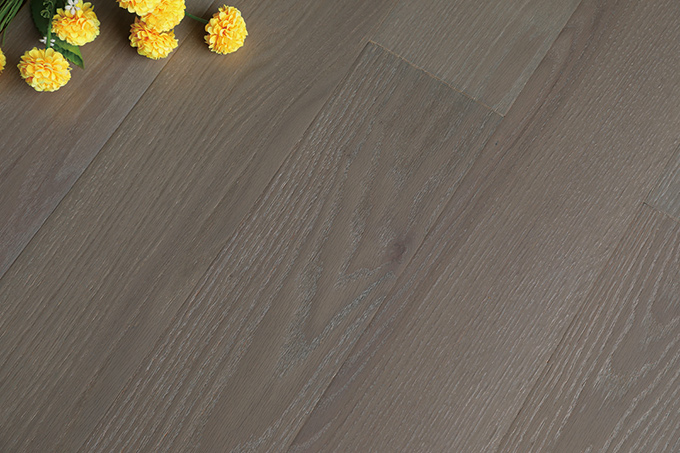 久久99精品久久久久久久不卡