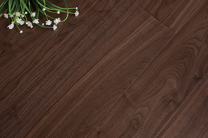 久久99精品久久久久久久不卡