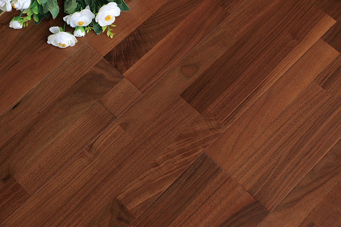 久久99精品久久久久久久不卡