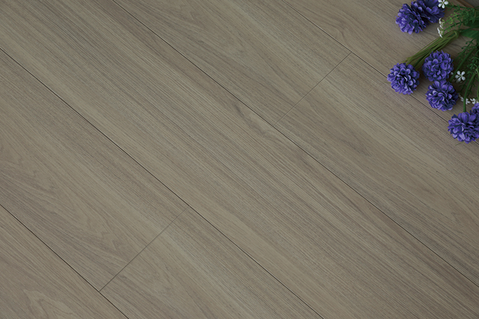 久久99精品久久久久久久不卡