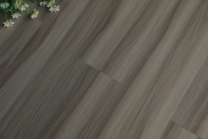 久久99精品久久久久久久不卡