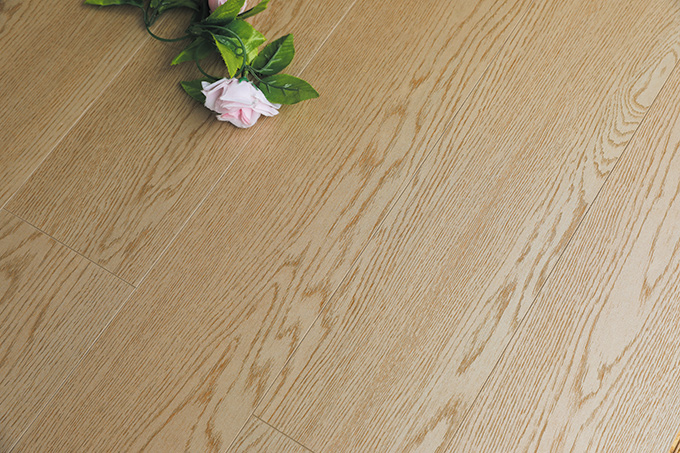 久久99精品久久久久久久不卡