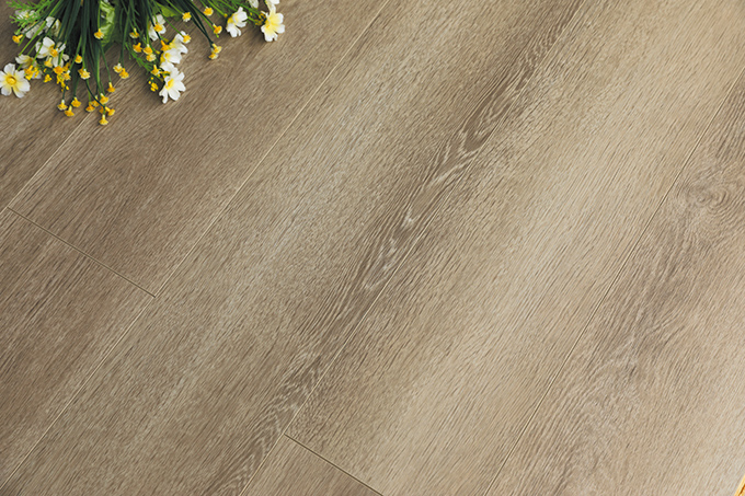 久久99精品久久久久久久不卡