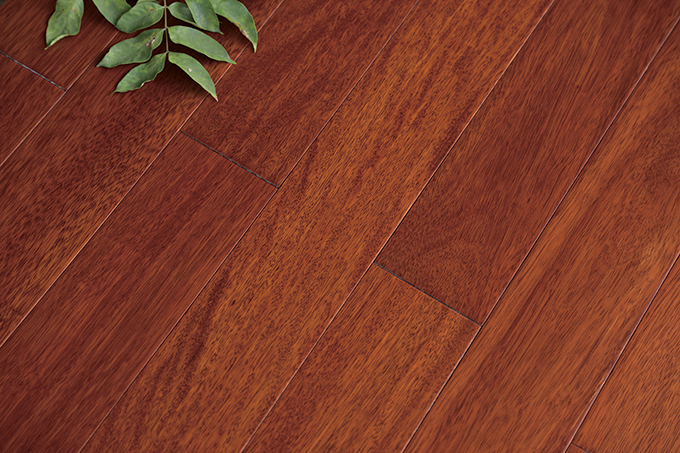 久久99精品久久久久久久不卡