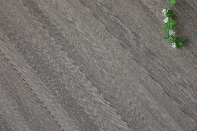 久久99精品久久久久久久不卡