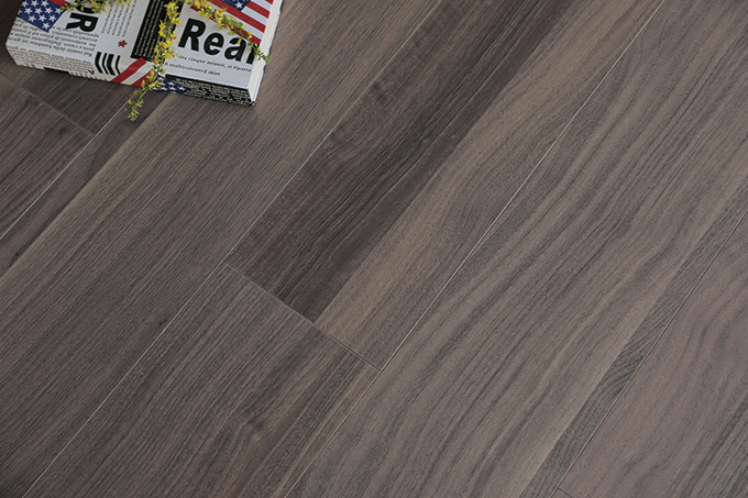 久久99精品久久久久久久不卡