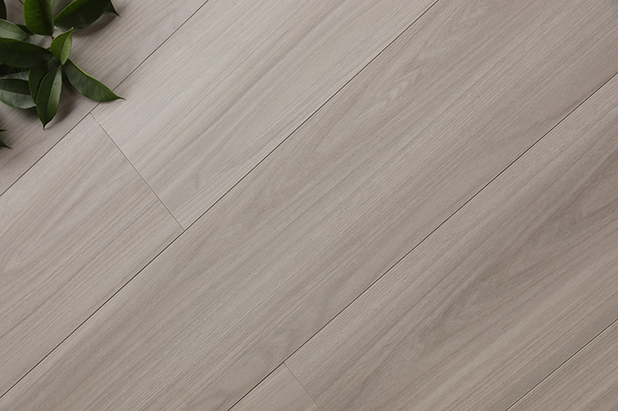 久久99精品久久久久久久不卡