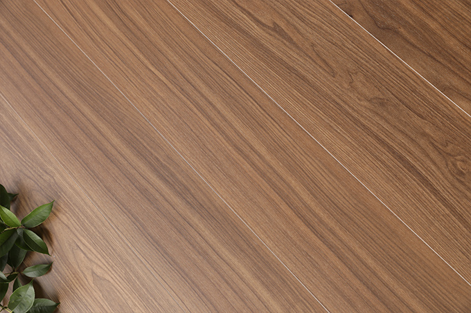 久久99精品久久久久久久不卡