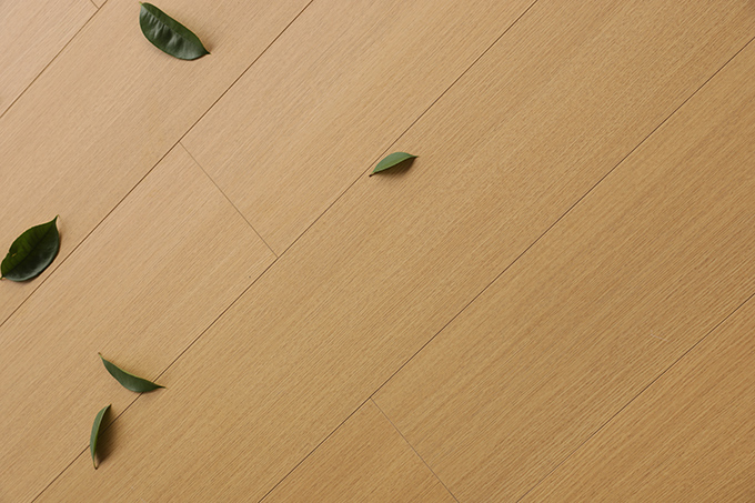 久久99精品久久久久久久不卡