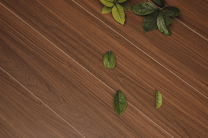 久久99精品久久久久久久不卡