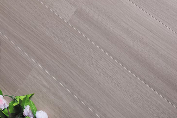 久久99精品久久久久久久不卡