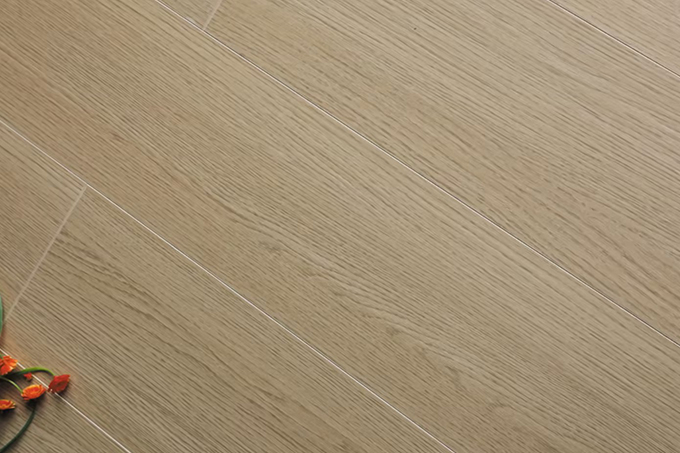 久久99精品久久久久久久不卡