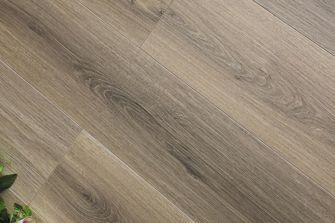 久久99精品久久久久久久不卡