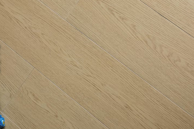 久久99精品久久久久久久不卡