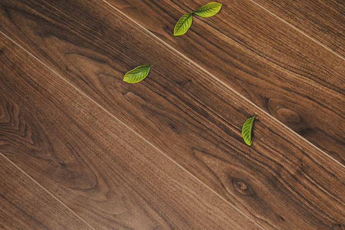 久久99精品久久久久久久不卡